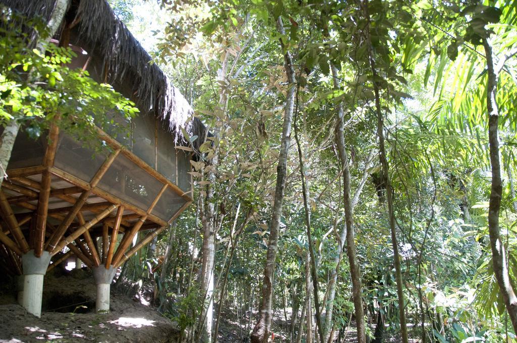 Universo Pol Bamboo Hostel มอร์โฮเจอเซาเปาลู ห้อง รูปภาพ
