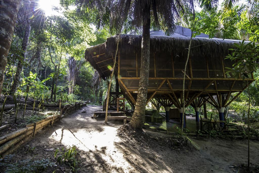 Universo Pol Bamboo Hostel มอร์โฮเจอเซาเปาลู ภายนอก รูปภาพ