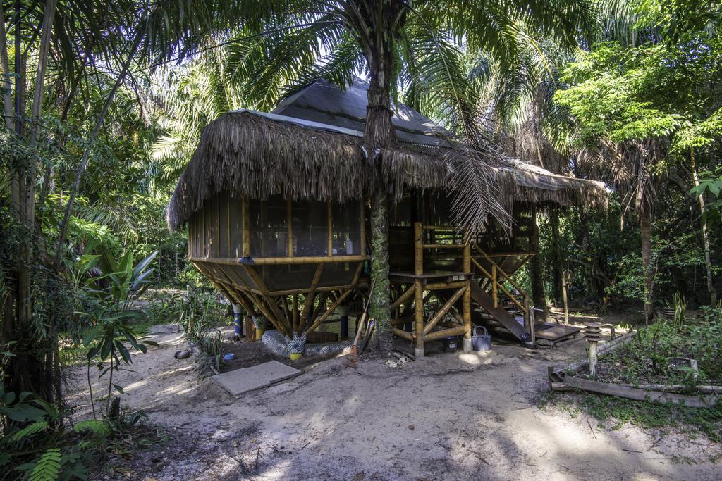 Universo Pol Bamboo Hostel มอร์โฮเจอเซาเปาลู ภายนอก รูปภาพ