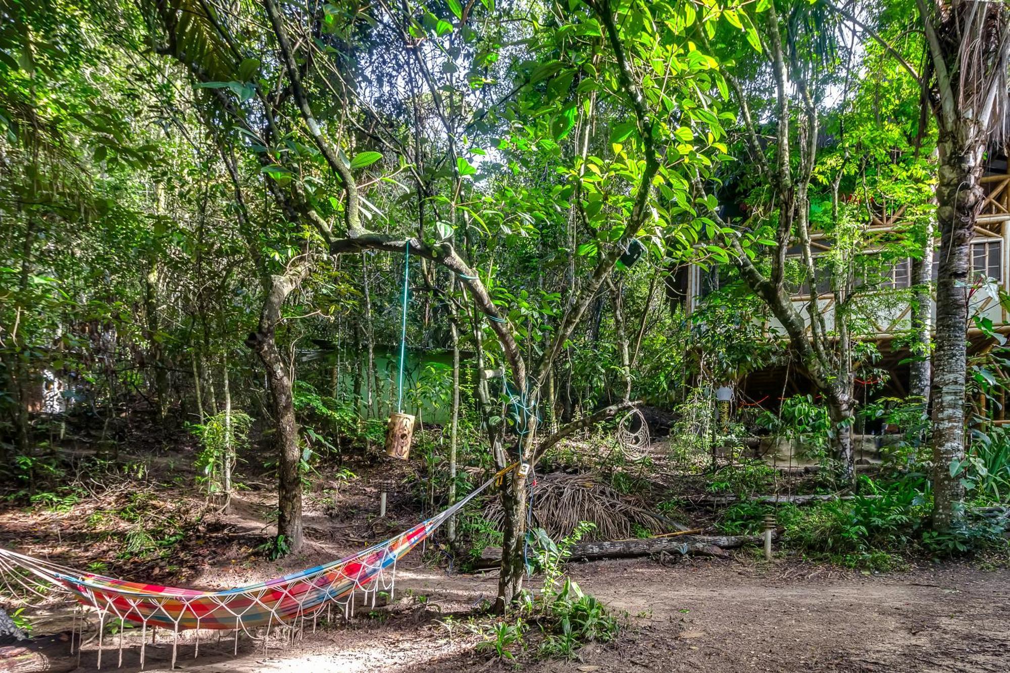 Universo Pol Bamboo Hostel มอร์โฮเจอเซาเปาลู ภายนอก รูปภาพ